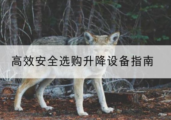 新市升降货梯厂家推荐-*安全选购升降设备指南
