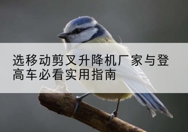 新市电动升降机厂家-选移动剪叉升降机厂家与登高车必看实用指南