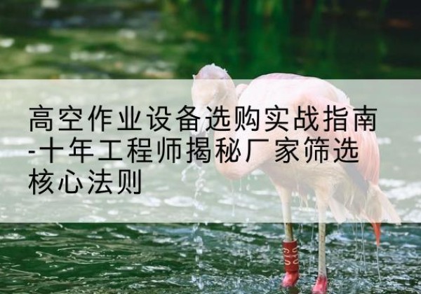 新市剪叉式升降机厂家-高空作业设备选购实战指南-十年工程师揭秘厂家筛选核心法则